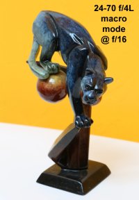 24-70 macro.jpg
