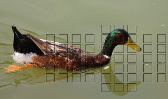 Pic 2.JPG