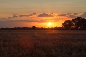 Evening over Bursea.jpg