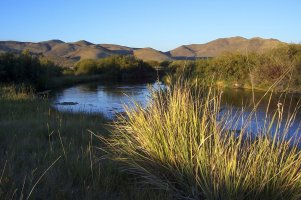 Silver Creek Idaho 2.jpg