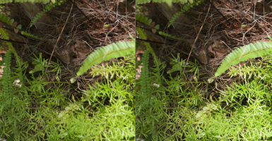 Screen Shot 2015-09-15 at 8.20.43 PM.png