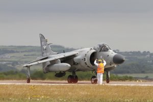 Harrier - compressed.jpg