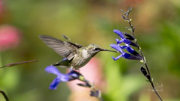 r1080 Sept 25 2015 dated signed_MGL0014.jpg