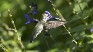 r1080 Sept 25 2015 dated signed_MGL0155.jpg