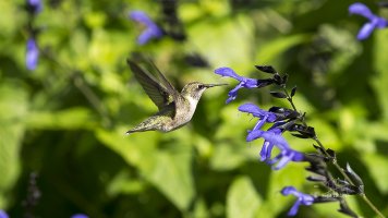 r1080 Sept 25 2015 dated signed_MGL0321.jpg