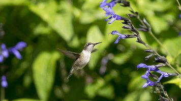 r1080 Sept 25 2015 dated signed_MGL0331.jpg