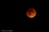 Lunar Eclipse-2.jpg