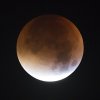 Blood Moon Partial Eclipse.jpg