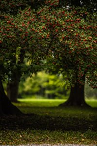 untitled-130.jpg