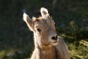 _MG_4077_DxO copy.jpg