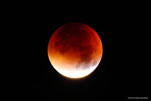 EOS 5D Mark III_016423.jpg