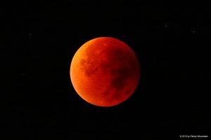 EOS 5D Mark III_016451.jpg