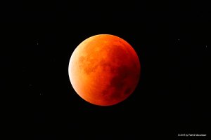 EOS 5D Mark III_016472.jpg