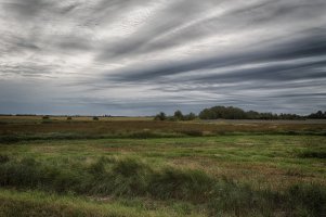 TSR - 0006 2000w.jpg