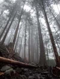 Canon S120 2015 May 14 Image 3.jpg