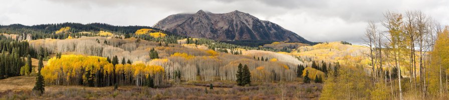 2015-10-06 11.24.57.jpg