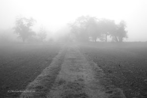 IMG_5d2_002162_fogscapes.JPG
