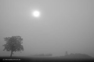 IMG_5d2_002168_fogscapes.JPG