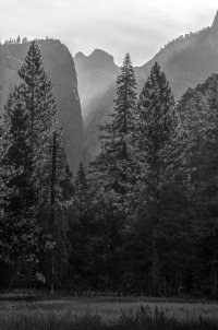 Yosemite - Morning Walk-35_6_7_8_9.jpg