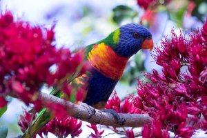 Botanic Garden 25-10-15059.jpg