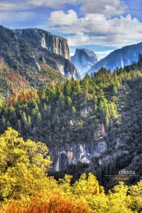Big Oak Flat Rd Tunnel View_wm_sm.jpg