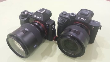 cameras.jpg
