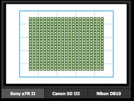 sony AF coverage.jpg