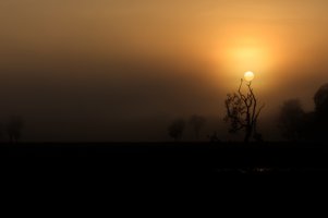 Yellow Water - Sunrise 9.jpg