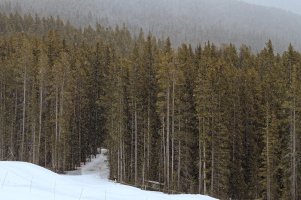 _MG_8586_DxO copy.jpg