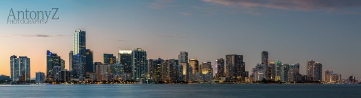 miamipan3.jpg