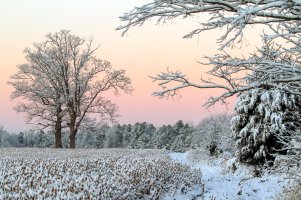 1st Snow of the Season at Home 141_edited-1 copy.jpg