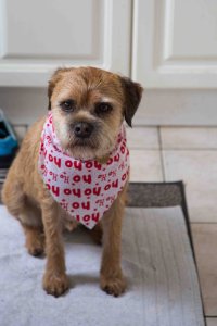 Watson kitchen 2.jpg