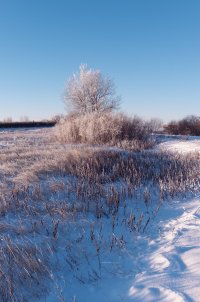 _DSF1329_DxO (1).jpg