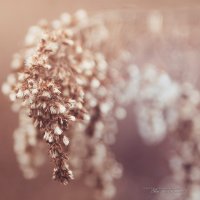 27 Instant Art-2.jpg