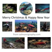 Xmas2015card.jpg