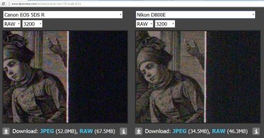DPReview ISO 3200 - 5Ds R v D800E.jpg