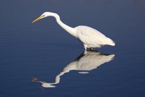 Immagine 049modG.jpg