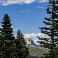 IMG_6205.jpg
