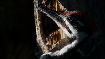 Bad example_29238.JPG