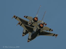 Aircraft at Wings over Wayne 2015-2965.jpg