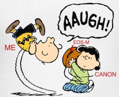 Charlie-Brown-football.jpg