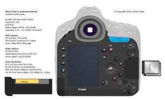 Portrait concept comparative size.jpg