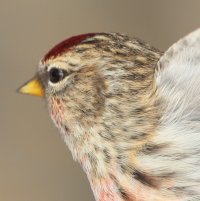 Motion Blur 2000th_31397.JPG