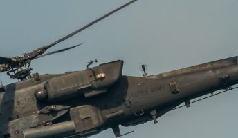 Free Hunter-EF100-400 and 1.4 extender -crop 100%.jpg