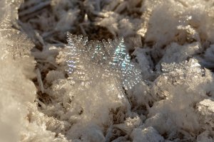 2016-01-07-20.45.04 ZS retouched_DxO_r2880.jpg