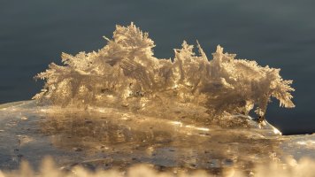 2016-01-15-20.59.46 ZS retouched_DxO_r2880-1.jpg