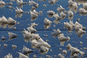 2016-01-19-20.33.22 ZS retouched_DxO_r2880.jpg