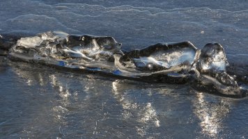 2016-01-20-20.12.29 ZS retouched_8b_DxO_r2880-1.jpg