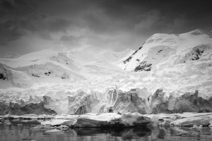 Glacier, Paradise Bay.jpg