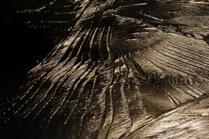 2015-12-26-22.56.46 ZS retouched_DxO_r2880.jpg